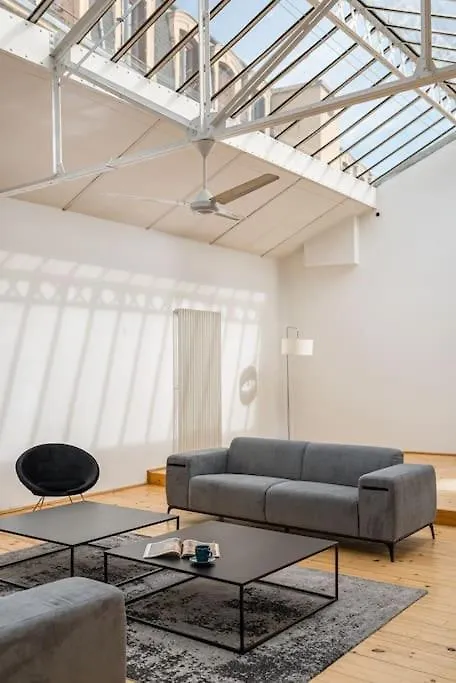 Zeus Loft 400M² 6Rms 6Br Hypercentre Apartment Saint-Etienne  0*, Saint-Etienne (Loire) France