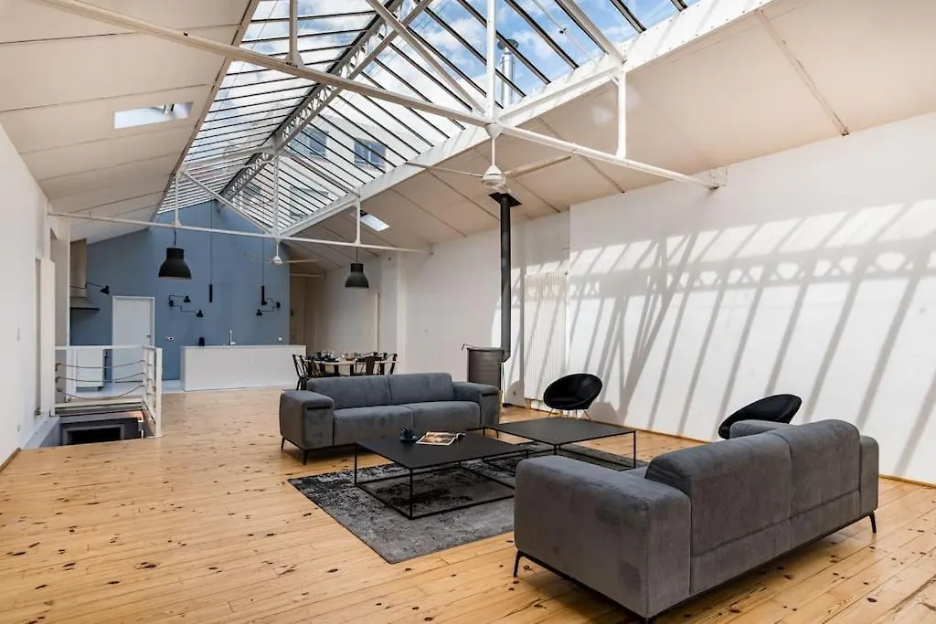 Zeus Loft 400M² 6Rms 6Br Hypercentre Apartment Saint-Etienne  0*, Saint-Etienne (Loire)