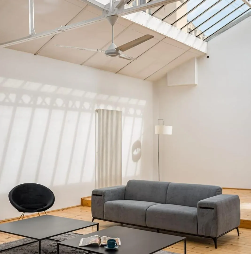 Zeus Loft 400M² 6Rms 6Br Hypercentre Apartment Saint-Etienne  0*, Saint-Etienne (Loire) France